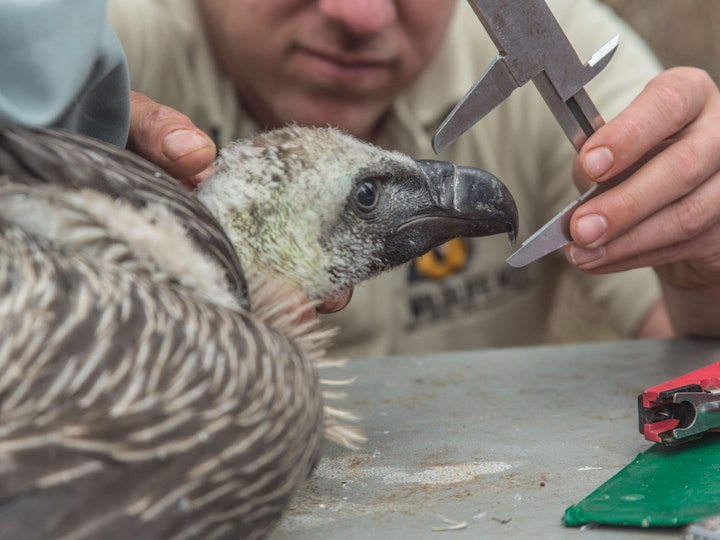 ON THE EDGE - Teaser