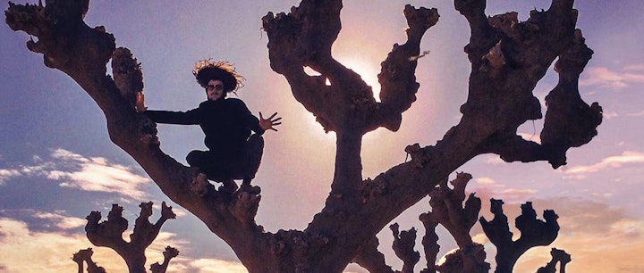 Best of 2018: Albums