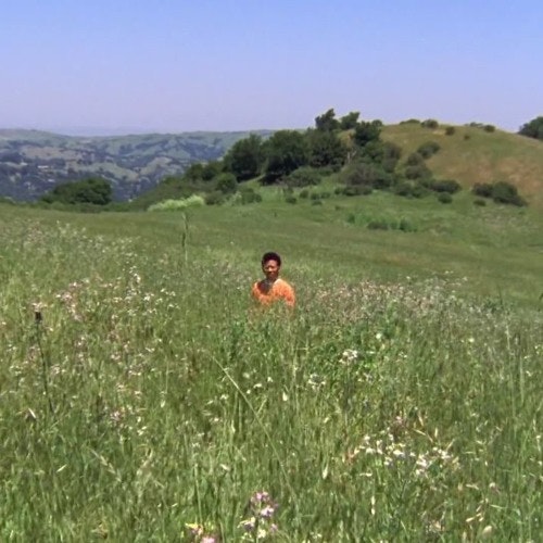 Best of 2013: Tracks