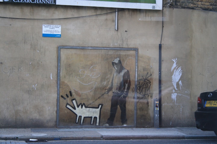 A Year of Street Observations