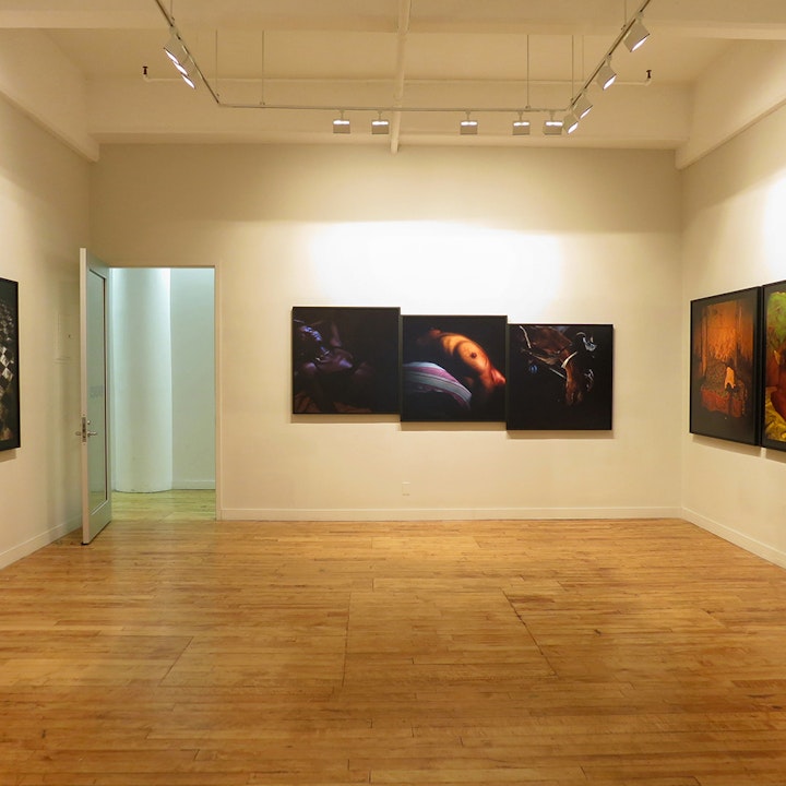 Solo exhibition "Hidra" / 1500 gallery in NY (2012)