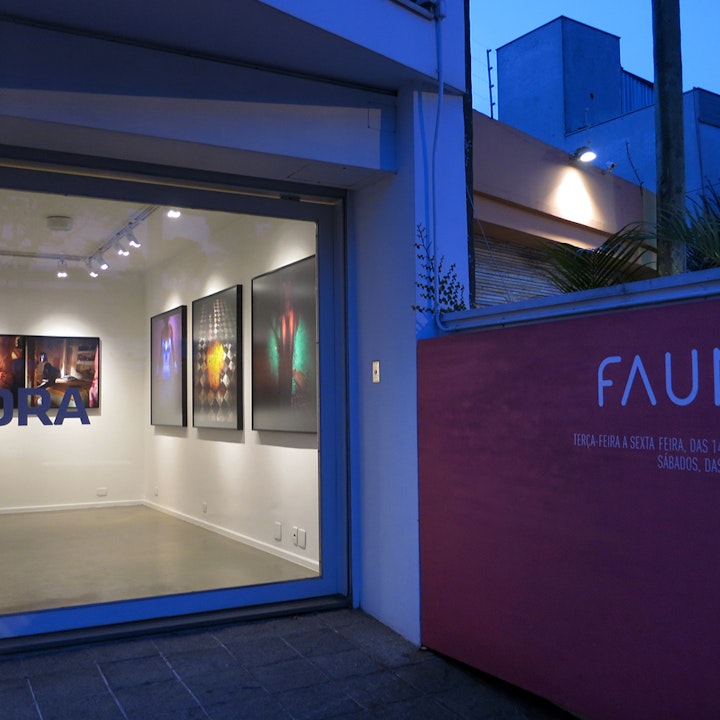 Solo exhibition "Hidra" / Fauna gallery in São Paulo (2012)