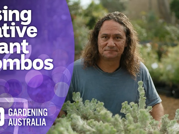 Combining native varieties in your garden design | Australian native plants | Gardening Australia