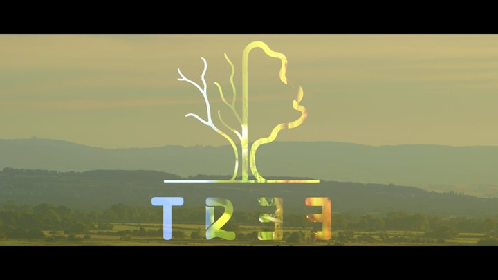 Tree233 - The Life Of An English Oak