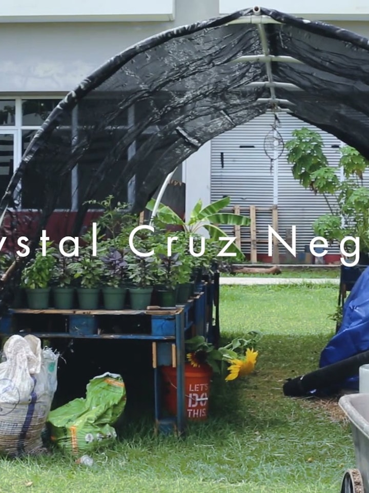 Crystal Cruz Negrón