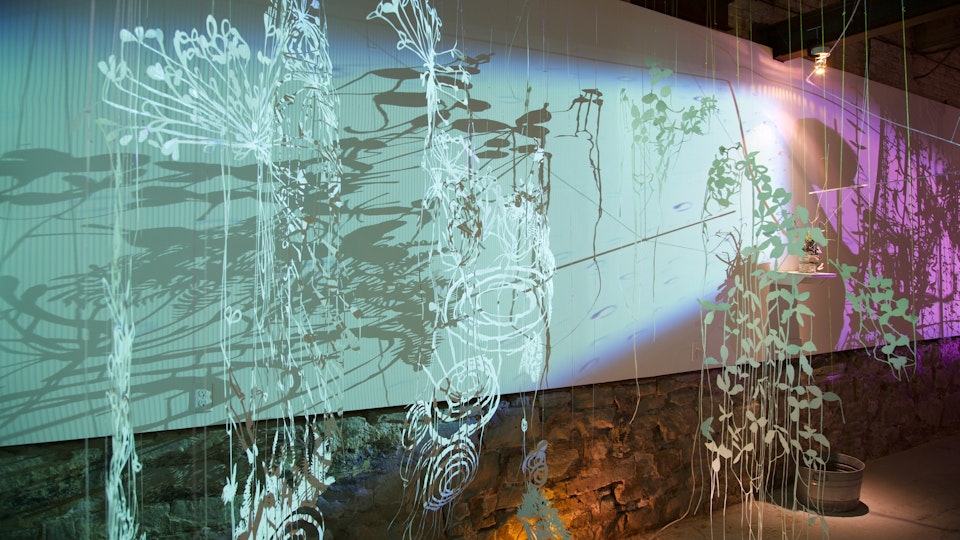Hopefully It Will Rain - Collaborative site-specific installation with Gregory Klassen | watercolor on hand cut paper, string, video projections, living sculptures, irrigation system | 2015