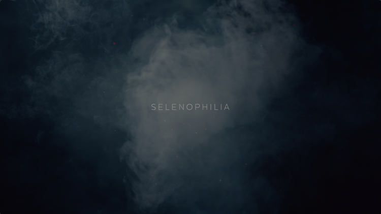 Selenophilia World Premiere at La Jolla Int Fashion Film Festival
