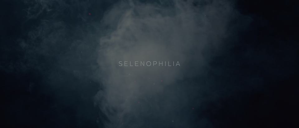 Selenophilia World Premiere at La Jolla Int Fashion Film Festival