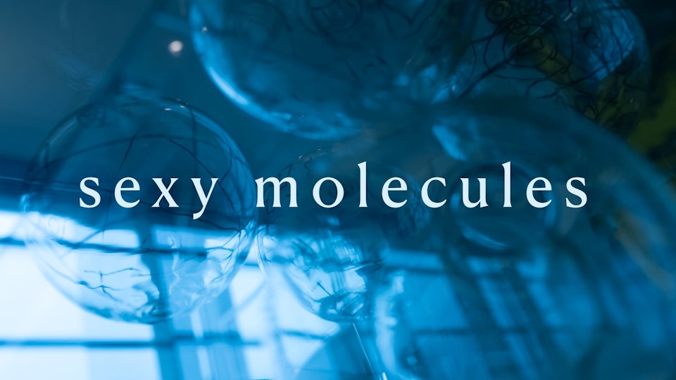 Sexy Molecules