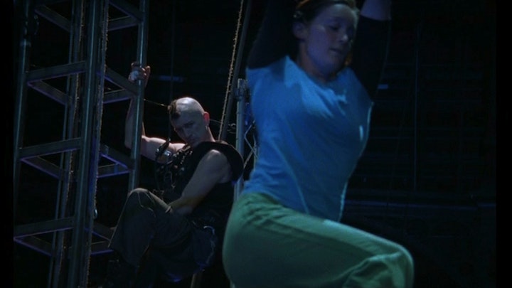 birds get vertigo too