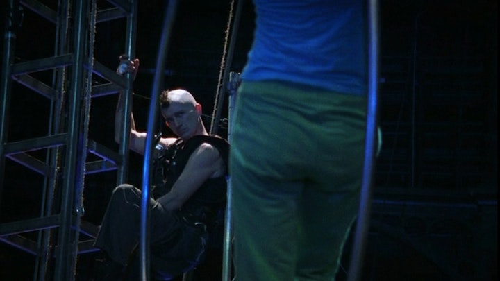 birds get vertigo too