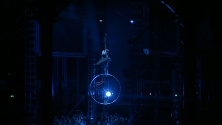 birds get vertigo too