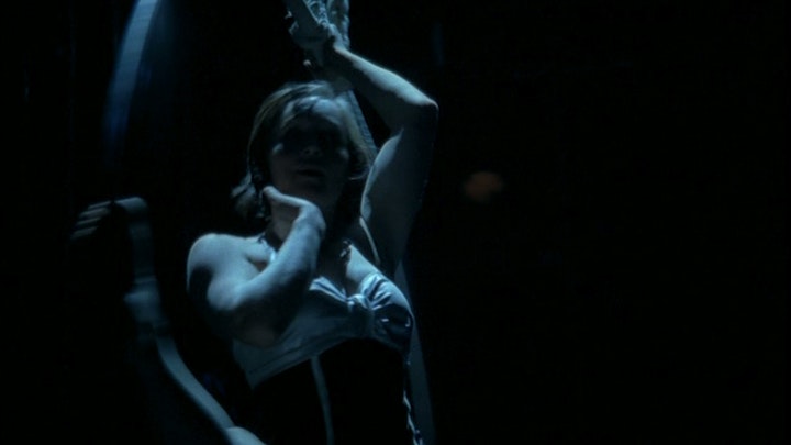 birds get vertigo too