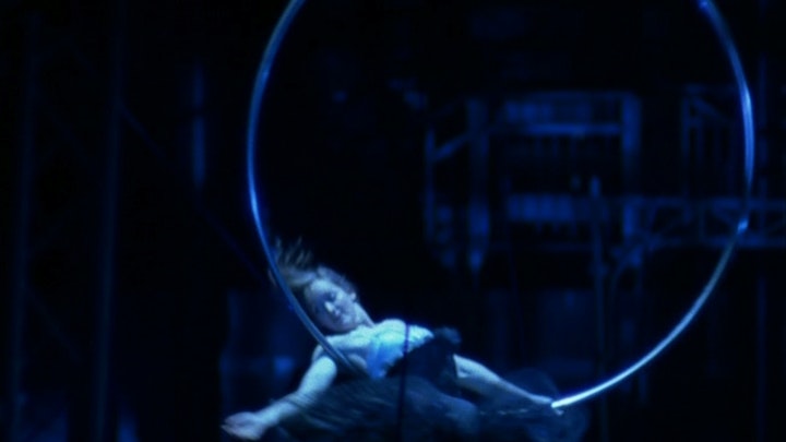 birds get vertigo too