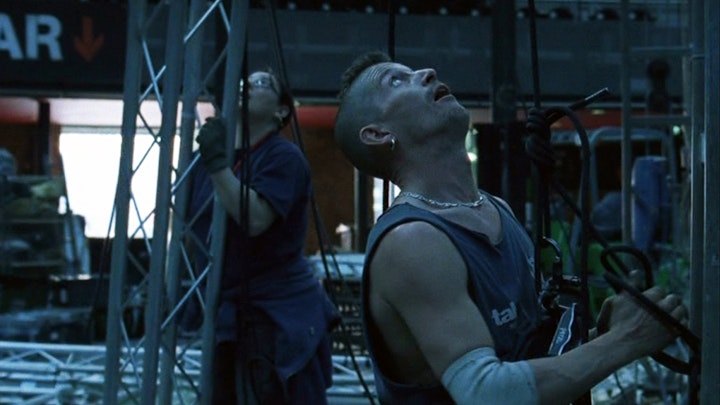 birds get vertigo too