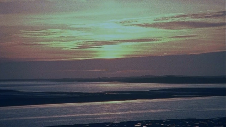 birds get vertigo too