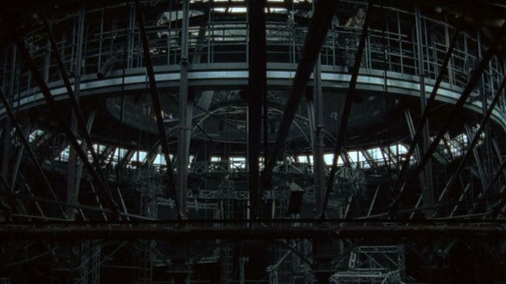 birds get vertigo too