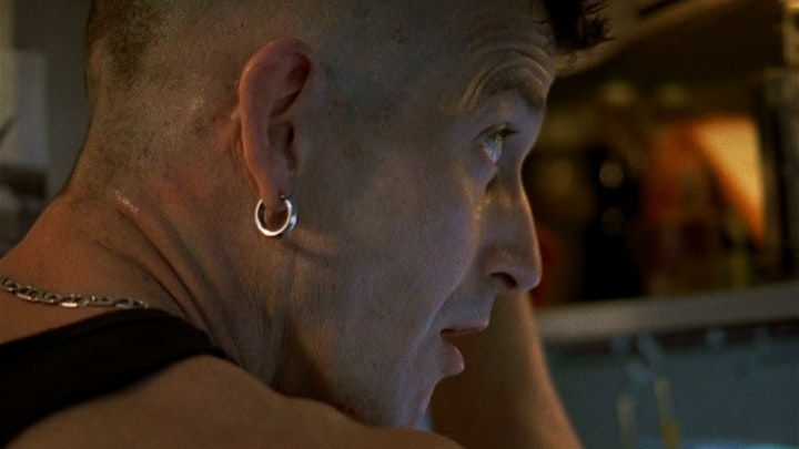 birds get vertigo too