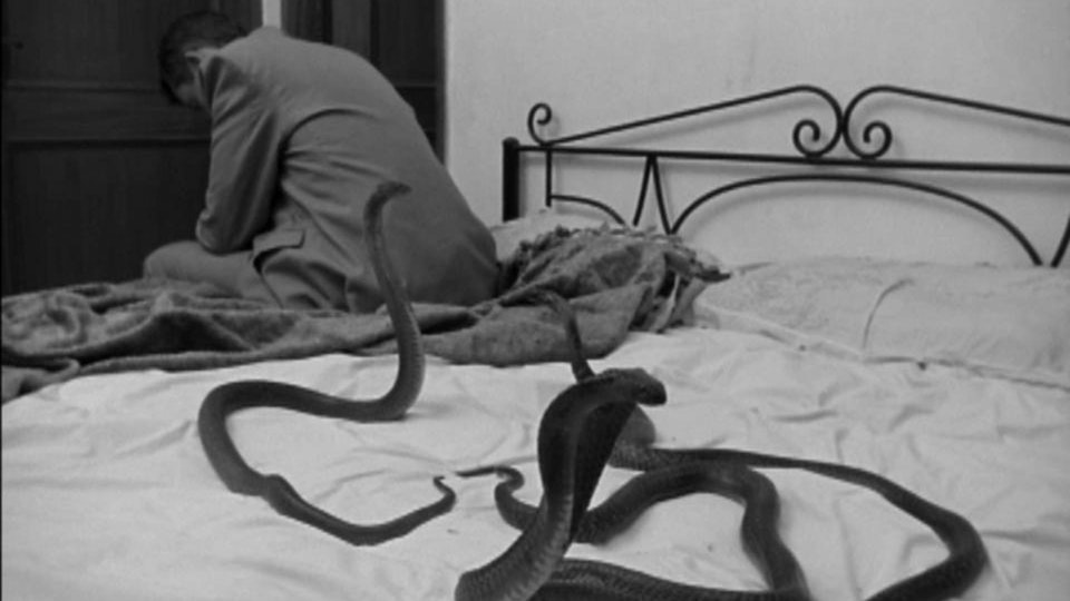 Змеи во сне мусульманский сонник. Человек обнимающийся со змеей. Змеи в обнимку. Змея обнимает.