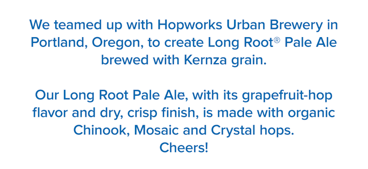 Patagonia Long Root Ale