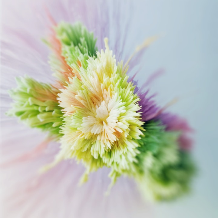 Fluctuations Series/ 2025