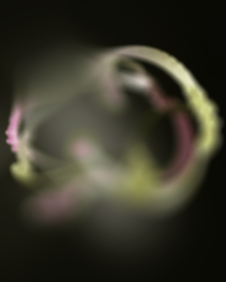 Fluctuations Series/ 2025