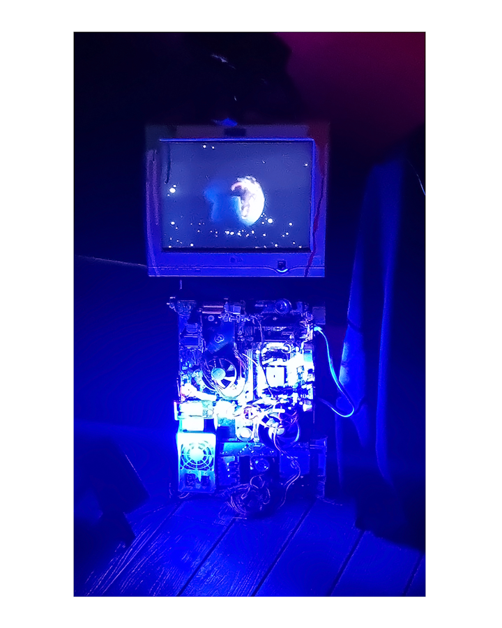 "Banquete" & "Blooming" Personal series / Art exhibition The Open Gallery