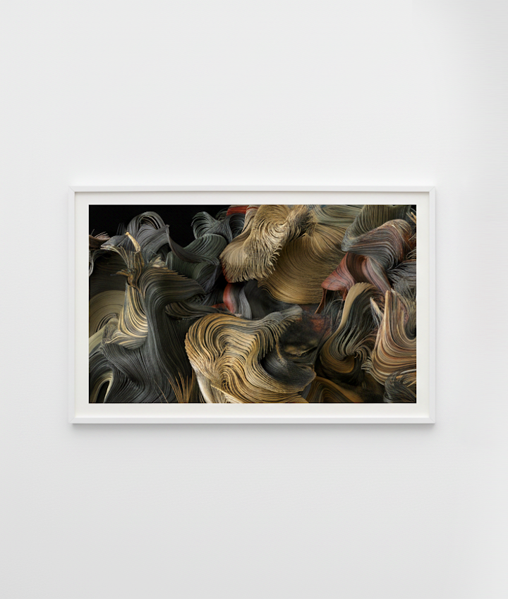 "Blooming" Series / Art Exhibiton