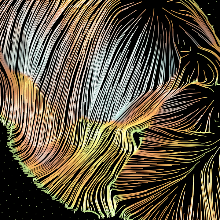 "Blooming" Series / Art Exhibiton