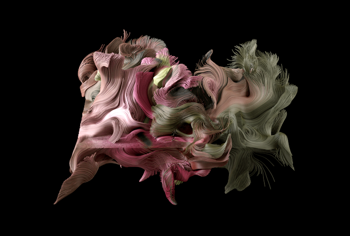 "Blooming" Series / Art Exhibiton