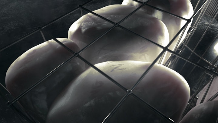 Fox & HBO / openings