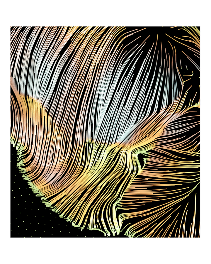 "Banquete" & "Blooming" Personal series / Art exhibition The Open Gallery