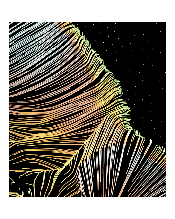 "Banquete" & "Blooming" Personal series / Art exhibition The Open Gallery