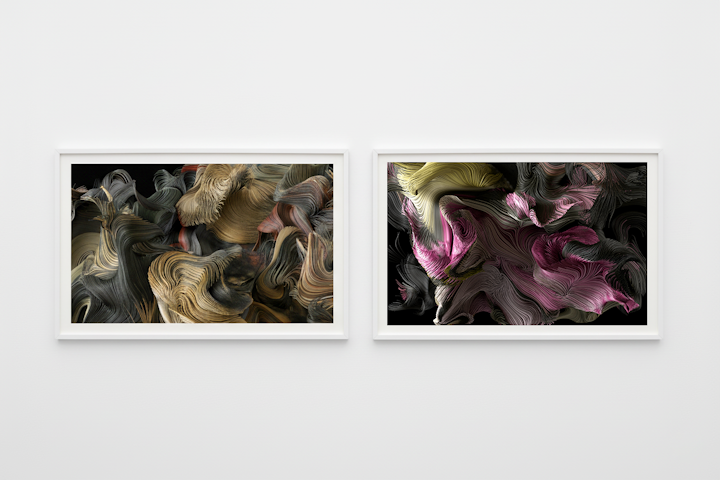 "Blooming" Series / Art Exhibiton