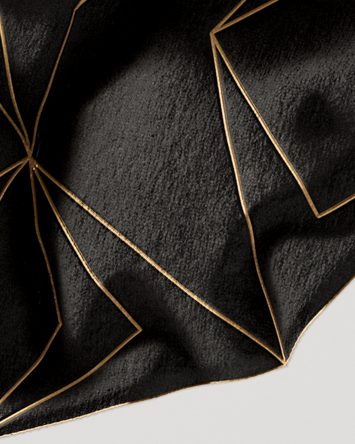 Triangulated Collection 2023