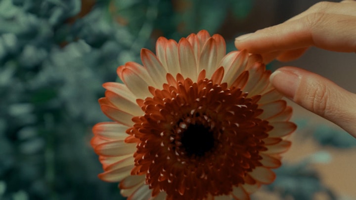 HERMÈS MAISON // 2024