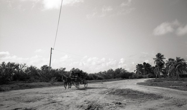 wide horse & cart