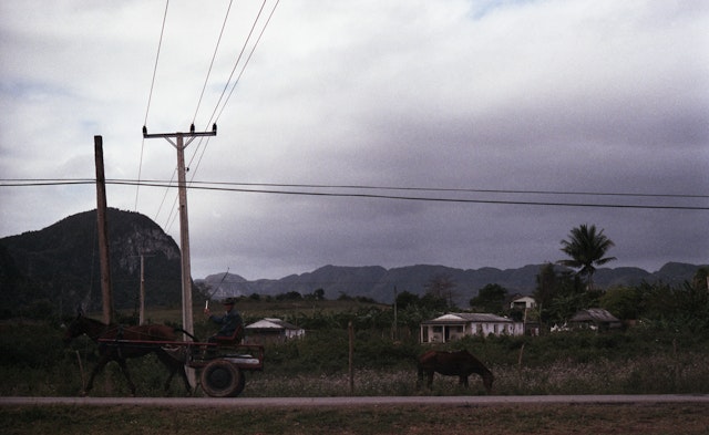 landscape vinales horse 