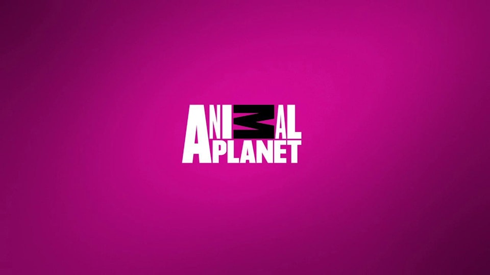 Animal Planet Bumps